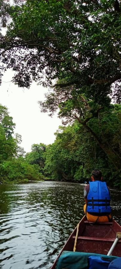 Belebar Homestay Taman Negara Pahang Malaysia Kuala Tahan Buitenkant foto