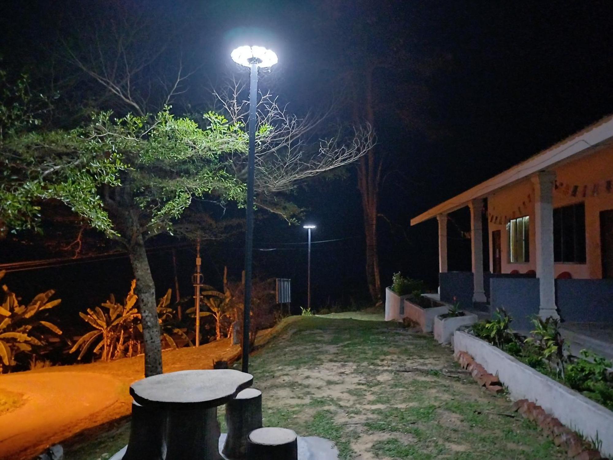 Belebar Homestay Taman Negara Pahang Malaysia Kuala Tahan Buitenkant foto